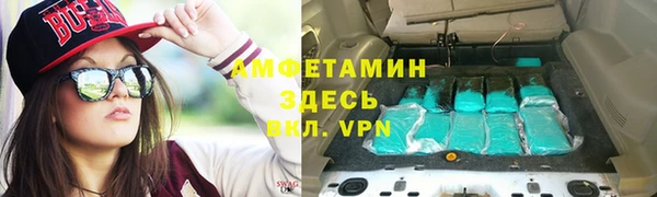молекула духа Арсеньев