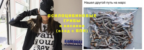 СК Алзамай