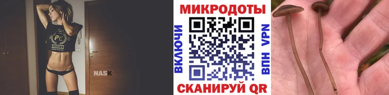 Псилоцибиновые грибы мицелий  Купить  Белоусово 